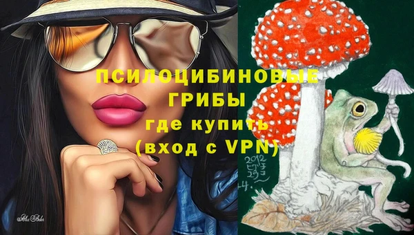 дживик Алзамай
