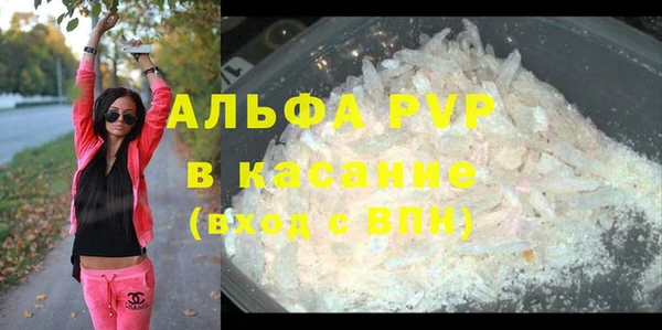 прущие грибы Алексин