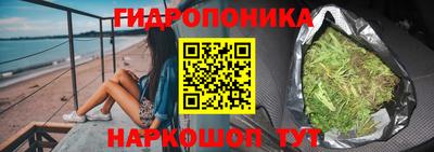 apvp Кунгур