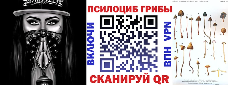 Галлюциногенные грибы Cubensis  Ипатово 
